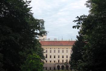  (© Nikola Mildová, 07/2013)