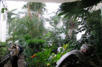 Interiér tropického skleníku (© Vojtěch Novák 05/2004)