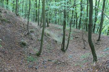 Příkop pod severním cípem starého jádra hradu ( © Petr Turyna 08/2006)