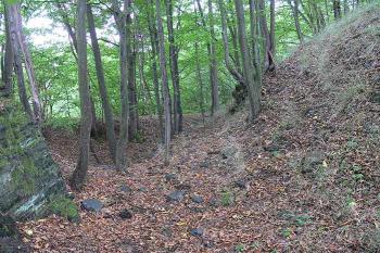 Do skály tesaná část příkopu severně od staršího hradního jádra ( © Petr Turyna 08/2006)