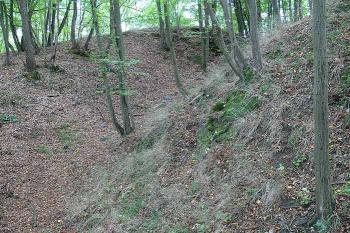 Příkop pod severním cípem starého jádra hradu ( © Petr Turyna 08/2006)