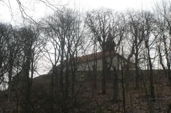  (© Jiří Suchomel, 01/2009)