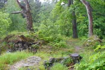 Karlsfried - vrchol skaliska se sporými zbytky (© Pavel Jarý,  18.05.2008)