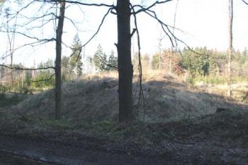 POhled na tvrziště z lesní cesty vedoucí od podel od západu k východu (© Jan Švejkar, 02/2007)