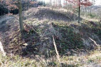 Tvrziště z vnějšího valu od severovýchodu (© Jan Švejkar, 01/2008)