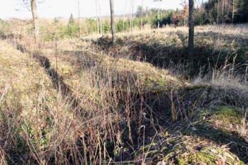 Místo, kde stála věž, zřejmě obdelná (© Jan Švejkar, 02/2007)