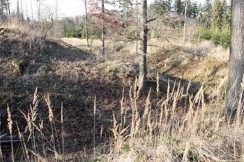 Pohled ze západní strany valu na tvrziště a severní část příkopu s valem (© Jan Švejkar, 01/2008)