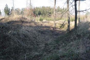 Východní část příkopu tvrziště (© Jan Švejkar, 01/2008)