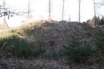 Vlastní tvrziště od západu (© Jan Švejkar, 01/2008)