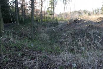 Pohled na jížní část tvrziště z východního valu, na jihu je znatelná dnešní cesta, která narušila jižní val (© Jan Švejkar, 02/2007)