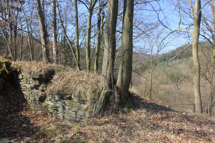 Vícov