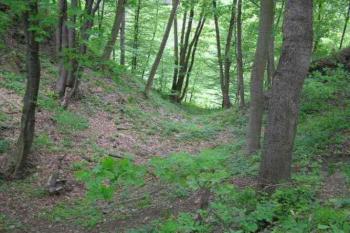 Ježův hrad (© Vojtěch Novák 05/2004)