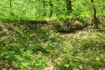 Ježův hrad (© Vojtěch Novák 05/2004)