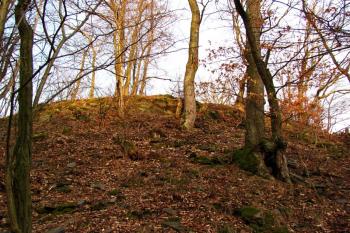 Vícov - Ježův hrad (© Dejv Róza, 03/2010)