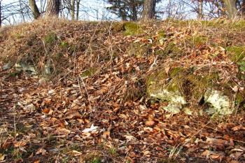Vícov - Ježův hrad (© Dejv Róza, 03/2010)