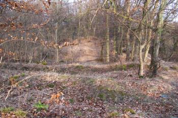 Vícov - Ježův hrad (© Dejv Róza, 03/2010)