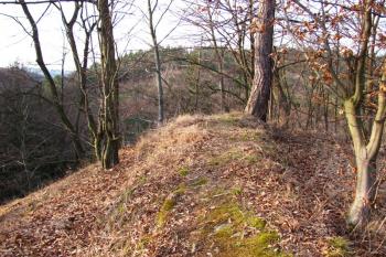 Vícov - Ježův hrad (© Dejv Róza, 03/2010)