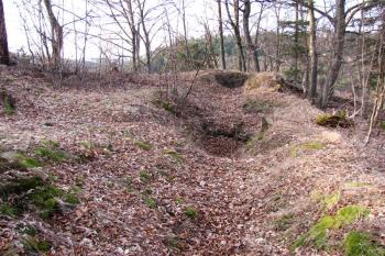 Vícov - Ježův hrad (© Dejv Róza, 03/2010)