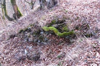 Vícov - Ježův hrad (© Dejv Róza, 03/2010)