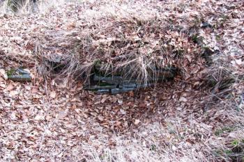 Vícov - Ježův hrad (© Dejv Róza, 03/2010)