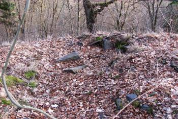 Vícov - Ježův hrad (© Dejv Róza, 03/2010)