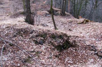Vícov - Ježův hrad (© Dejv Róza, 03/2010)