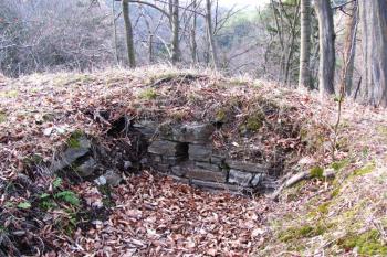 Vícov - Ježův hrad (© Dejv Róza, 03/2010)