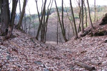 Vícov - Ježův hrad (© Dejv Róza, 03/2010)