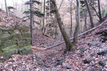 Vícov - Ježův hrad (© Dejv Róza, 03/2010)