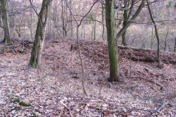 Vícov - Ježův hrad (© Dejv Róza, 03/2010)