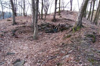 Vícov - Ježův hrad (© Dejv Róza, 03/2010)