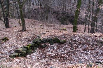 Vícov - Ježův hrad (© Dejv Róza, 03/2010)