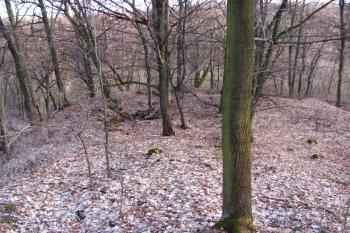 Vícov - Ježův hrad (© Dejv Róza, 03/2010)