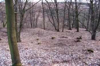 Vícov - Ježův hrad (© Dejv Róza, 03/2010)