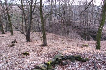 Vícov - Ježův hrad (© Dejv Róza, 03/2010)