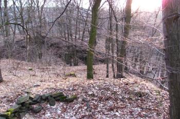 Vícov - Ježův hrad (© Dejv Róza, 03/2010)