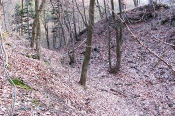 Vícov - Ježův hrad (© Dejv Róza, 03/2010)