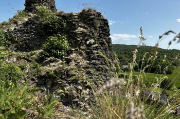 Hrad Ostrý (© Jiří Čížek  05/2023)