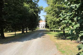 alej vedoucí k zámku (© D Dohňanský, 07/2018)
