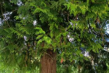  (© Jaroslav Špiroch  09/2025)