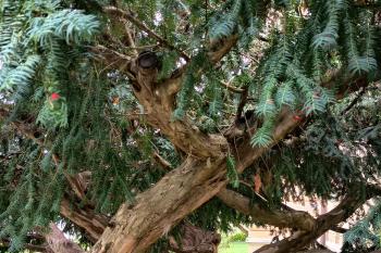  (© Jaroslav Špiroch  09/2025)