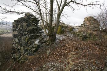 Zbytky polygonální bašty - hlavní obranné stavby hradu ( © Filip Matoušek 02/2008)