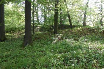 Čelní objekt hradu, člověk by tu čekal věžovou stavbu nebo třeba štítovou zeď (© Jan Večeřa, 05/2015)