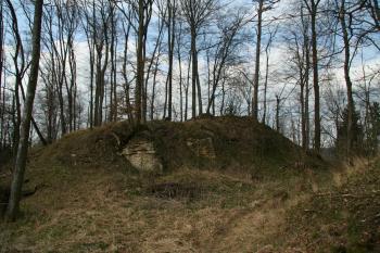 Vlastní hrad (© Petr Nožička, 4/2008)