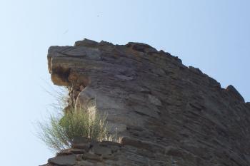 Erbovní znamení pánů z Kunštátu v okénku (© Ivo Rozehnal 08/2015)