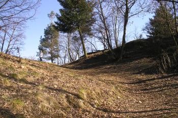 zřícenina dolního hradu Otaslavice (© Vlastislav Mareček, 02/2011)