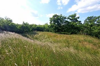 Pohled z jádra hradu na příkopem oddělené hospodářské zázemí (© Jan P. Štěpánek  04/2024)