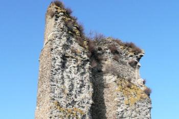 pohled z míst šíjového příkopu na střep strážné okrouhlé věže dolního hradu (© Jan P. Štěpánek 11/2009)