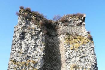 atypický pohled na oválnou hlavní věž hradu – přesná polovina věže dolního otaslavického hradu ( © Jan P. Štěpánek 11/2009)