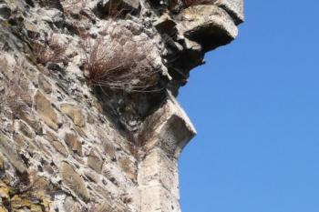 detail části zachovalého pískovcového ostění portálku na ochoz věže v jejím patře se zachovalým lícem chodby do interiéru ( © Jan P. Štěpánek 11/2009)